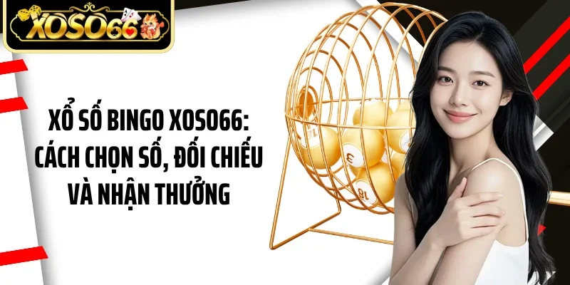 Xổ Số Bingo Xoso66: Cách Chọn Số, Đối Chiếu Và Nhận Thưởng